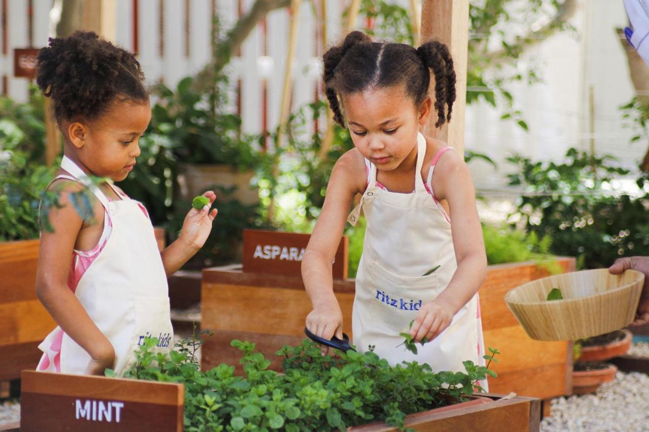 The Ritz-Carlton, Doha Hotel Kültér fotó Children working in a garden