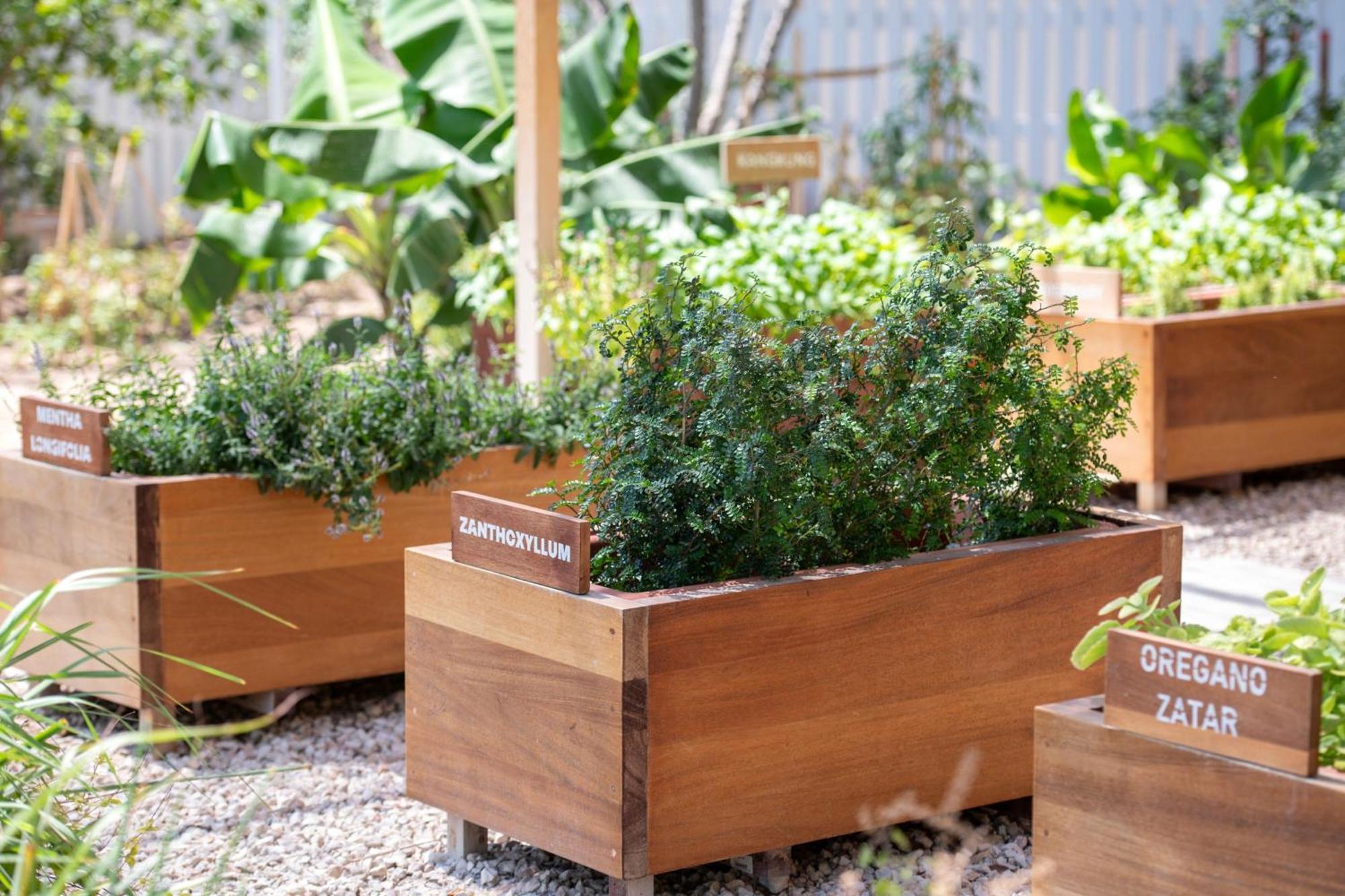 The Ritz-Carlton, Doha Hotel Kültér fotó Raised beds in a garden