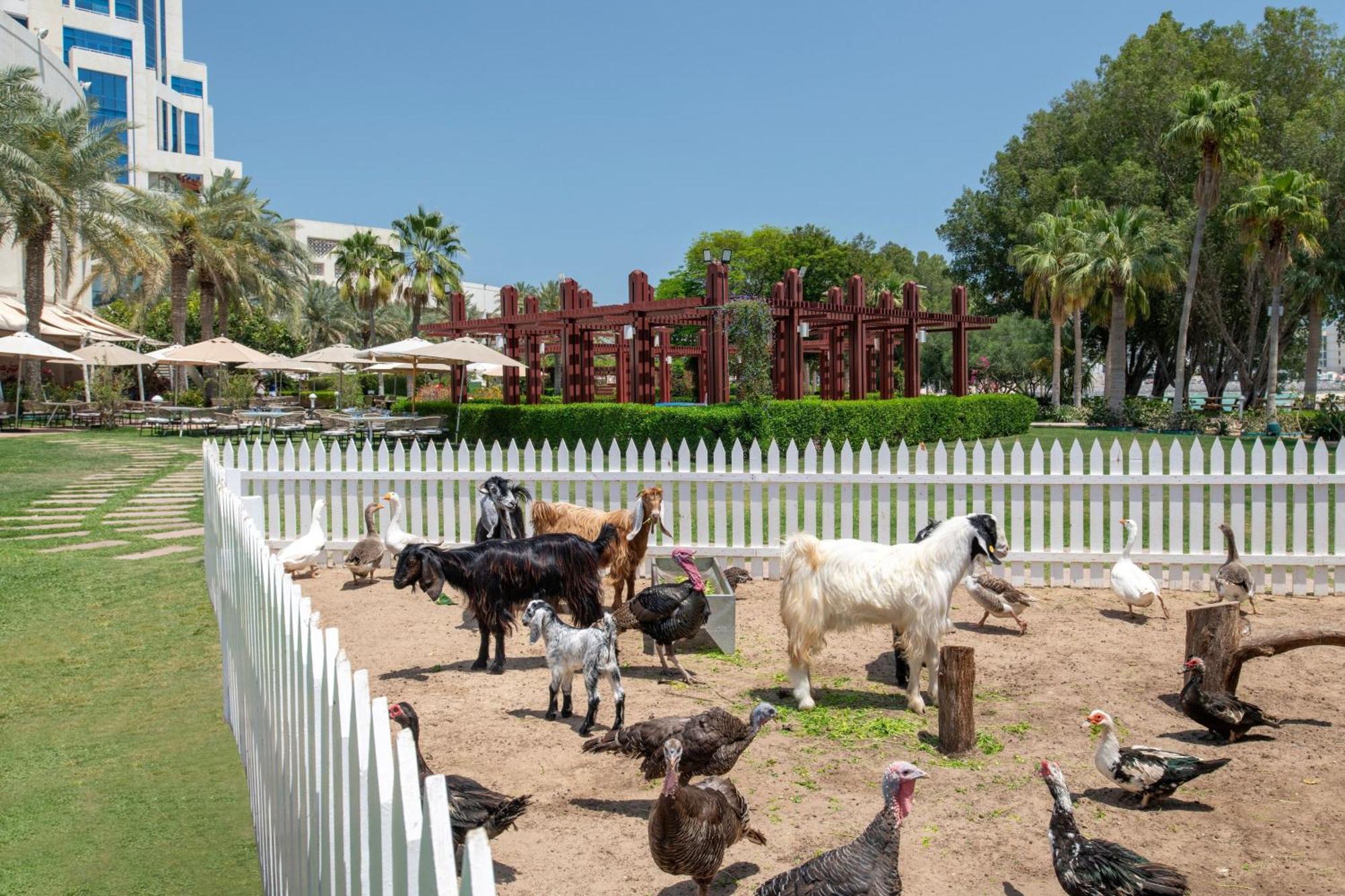 The Ritz-Carlton, Doha Hotel Kültér fotó The farm at the resort